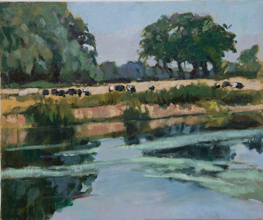 Cattle by the Stour